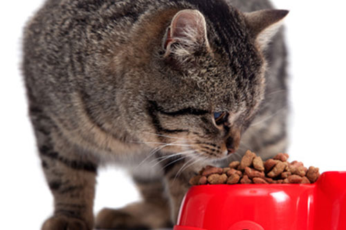Pet food products for palletizing applications: pet food