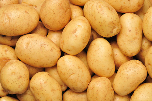 Landbouw-stapelen-aardappelen
