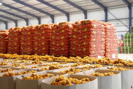 How about food palletizing & food palletizing robots