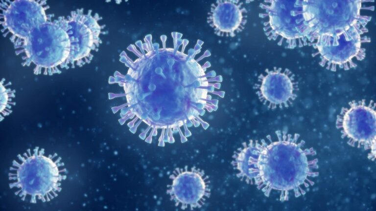 Verbruggen toma medidas contra el coronavirus