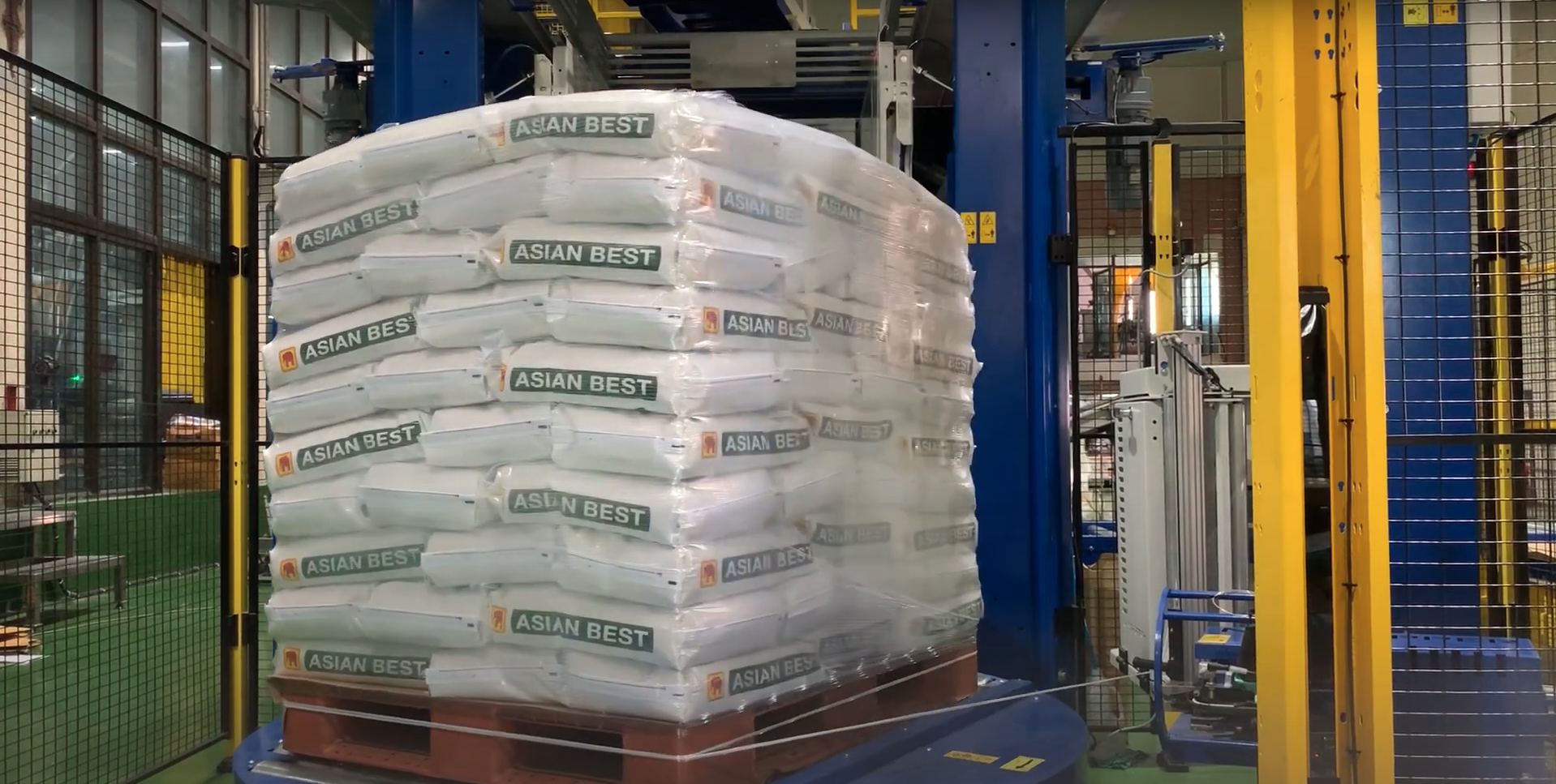 Wrapping machine - rice palletizing, Verbruggen